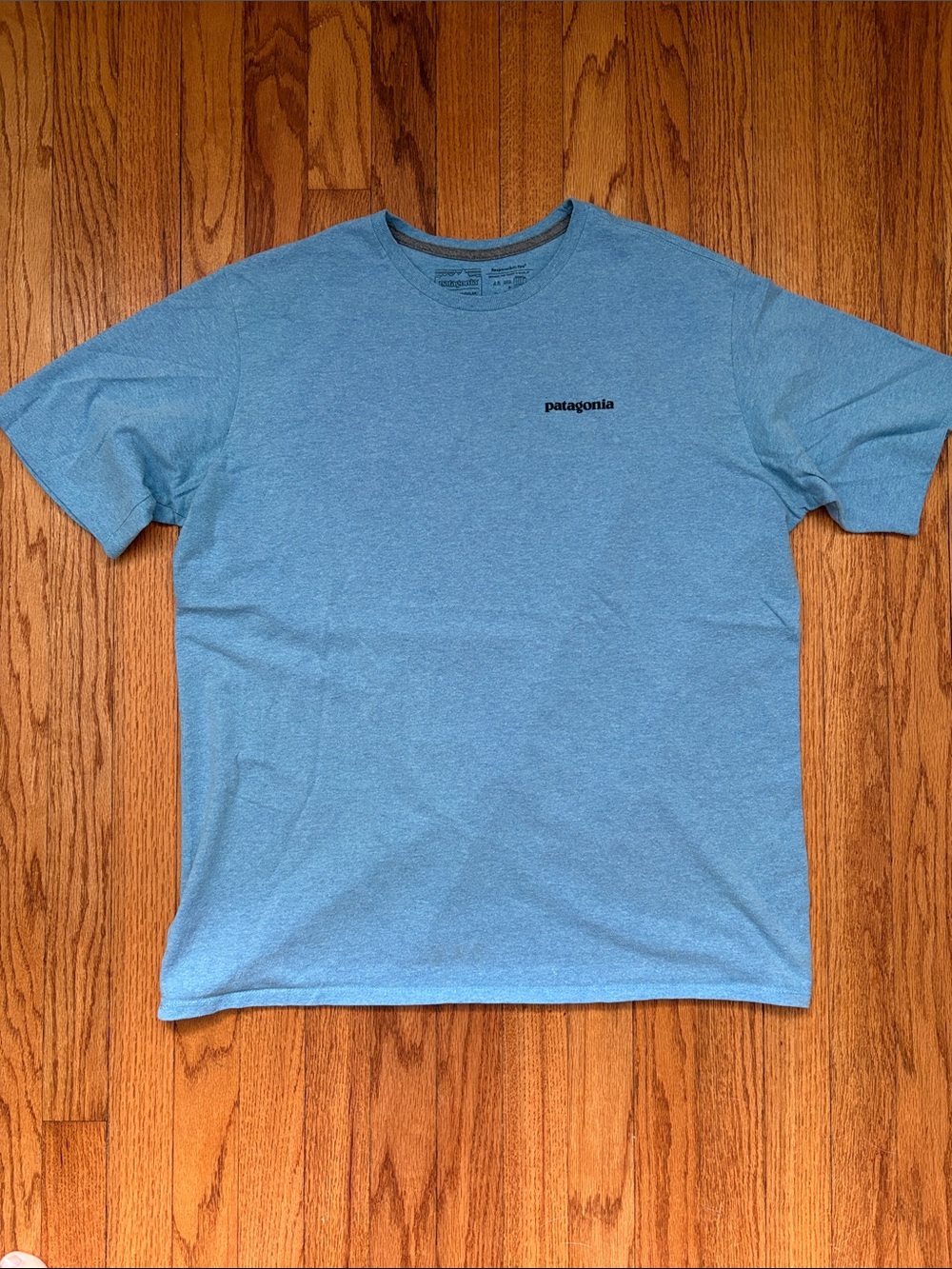 Patagonia Mens T-shirt: color: light blue: size-L: EUC